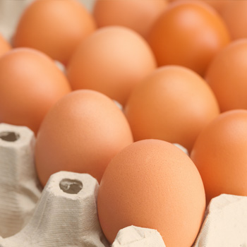  Egg production