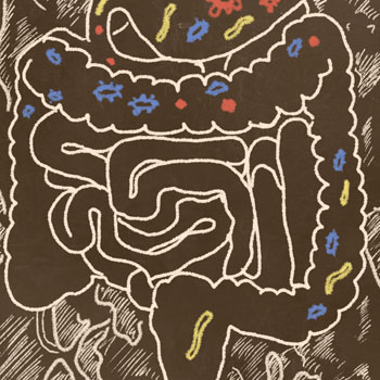  All disease begins in the gut
