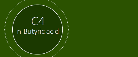  C4 n-butyric acid infographic