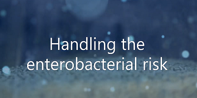  Handling entero bacterial risk
