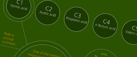  Download the full Short Chain Fatty Acid infographic