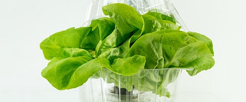  Five ways to improve bioplastics packaging with Capa™
