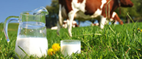  20170322 - No restrictions on milk production per farm in the EU